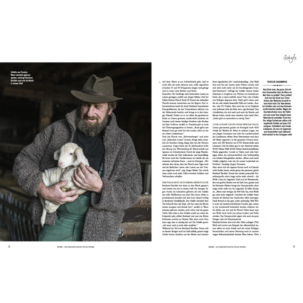 10 Das Schweigen der Laemmer4