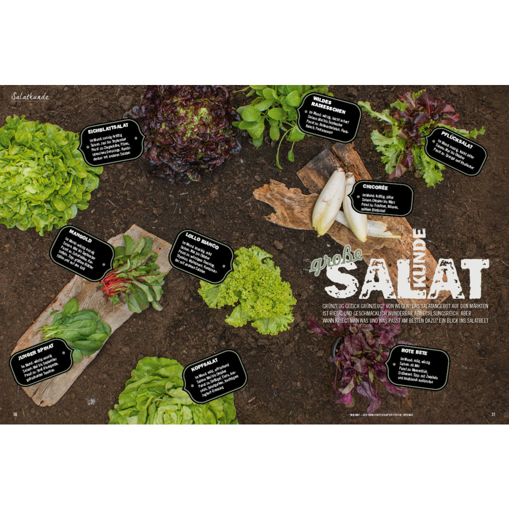 11 Salatkunde