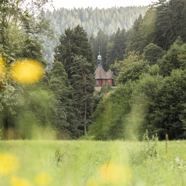 Blick auf Wälder mit Haus im Hintergrund